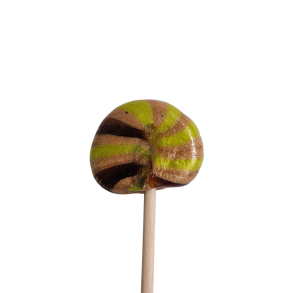 Saltkaramel slikkepind